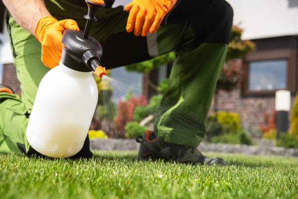 Best Termite Control Services  in Center Point, NM