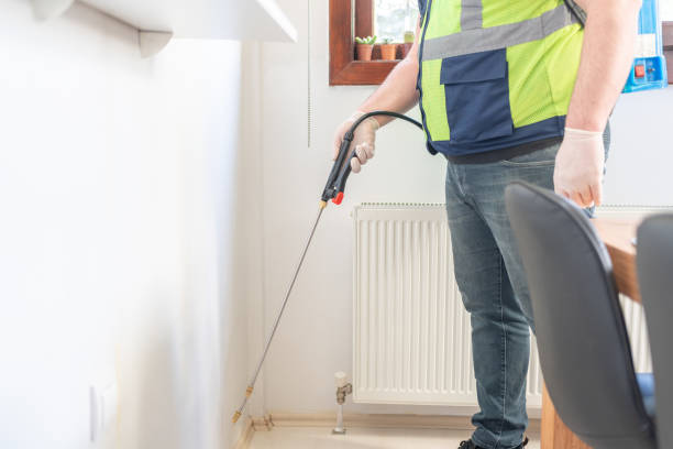 Best Affordable Pest Control Services  in Center Point, NM