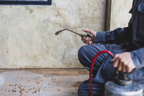 Best Best Pest Control Companies  in Center Point, NM