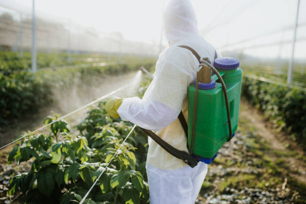 Best Pest Control Cost  in Center Point, NM